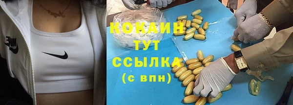 гашик Аркадак