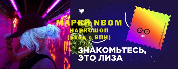 гашик Аркадак