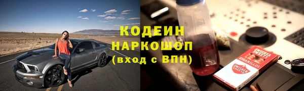 гашик Аркадак