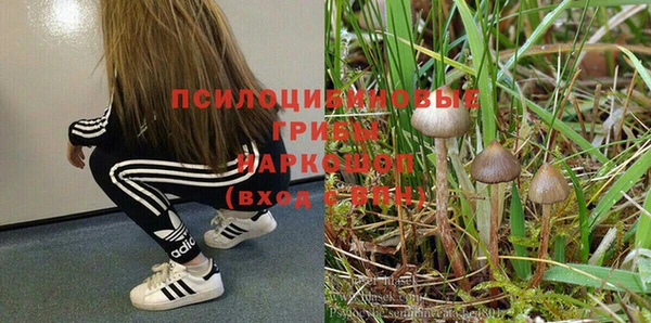 спиды Арсеньев
