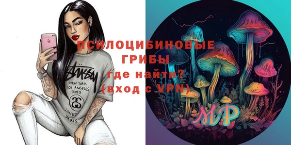 спиды Арсеньев