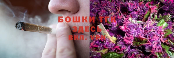 гашик Аркадак