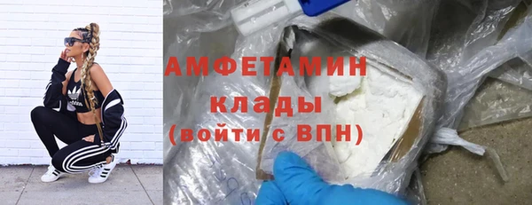 гашик Аркадак